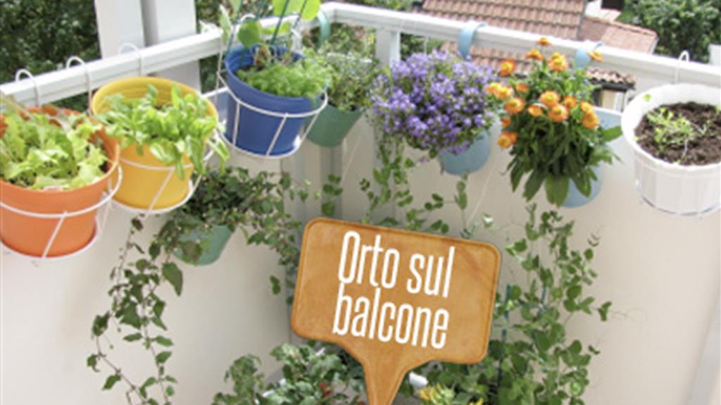 10 ortaggi da coltivare sul balcone