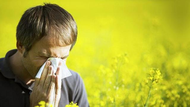 Incubo allergie per il 30% degli italiani: l’antidoto per i sintomi è lo sport