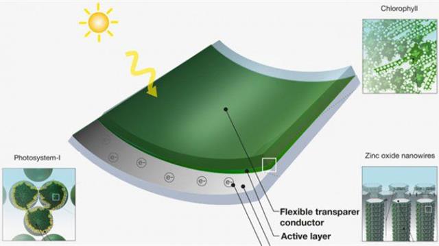 Fotovoltaico low cost
