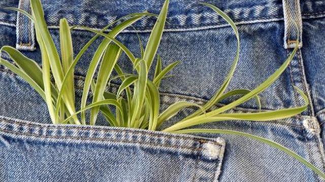 L’arte del riciclo anche nella moda: come garantire nuova vita ai jeans